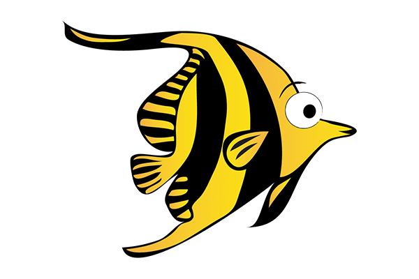 JR Angelfish