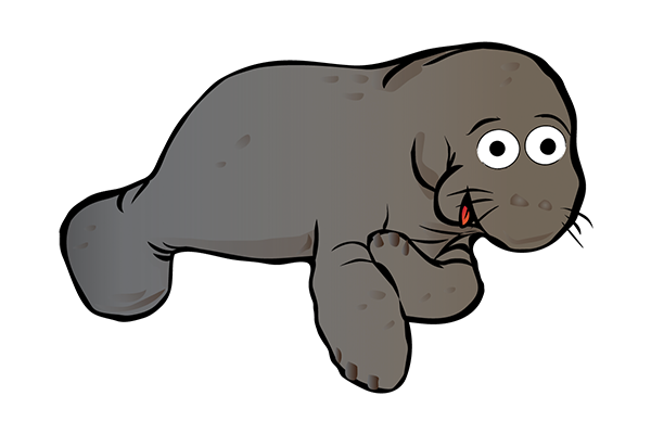 JR Manatee