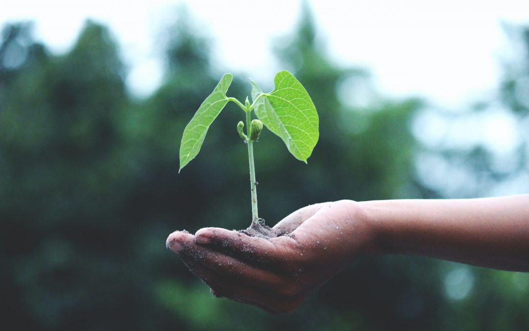 This Earth Day, Plant a Seed!